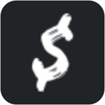 swrv币交易所平台功能与服务详解