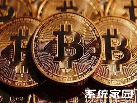WBTC钱包多链支持