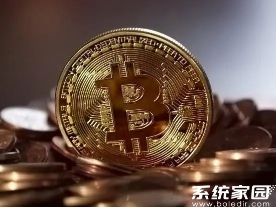 移动端资产管理演示