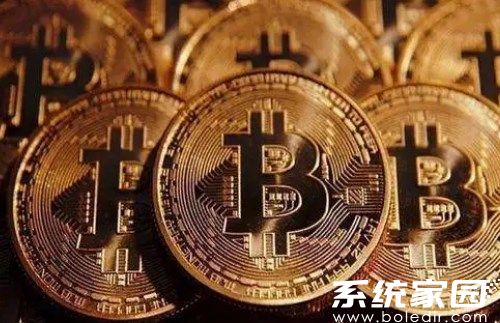 数字资产分析界面