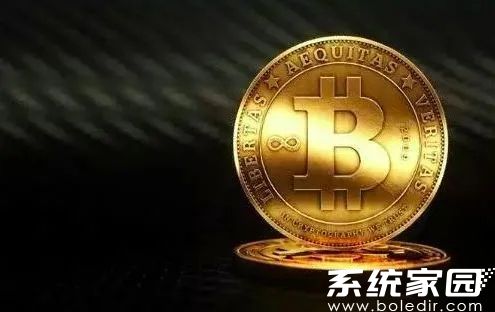 维卡币2025上市交易前景解析