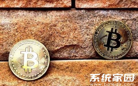 SATS币价格趋势与生态发展全景