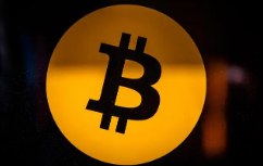 数字货币交易所安全验证指南