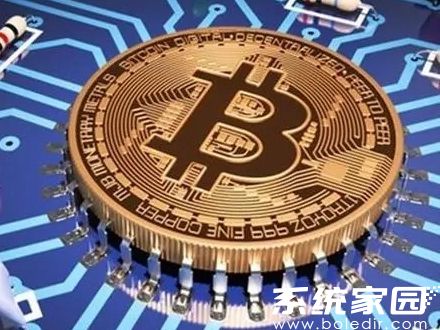 矿机监控面板