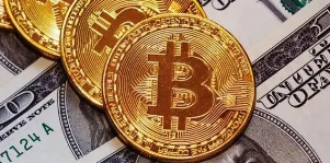 Gopay钱包操作界面示意图