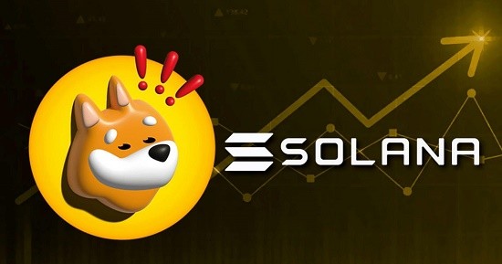 bonk币流通数据可视化分析