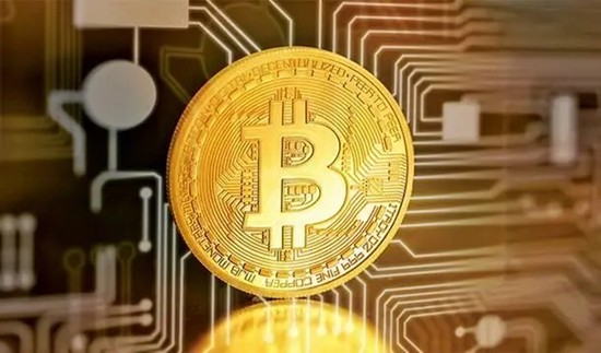 维卡币市场价值分析报告