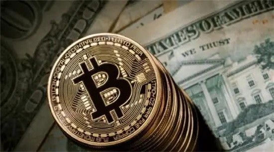 USDT钱包类型及用户偏好解析