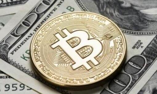 中币交易所运营现状与未来展望