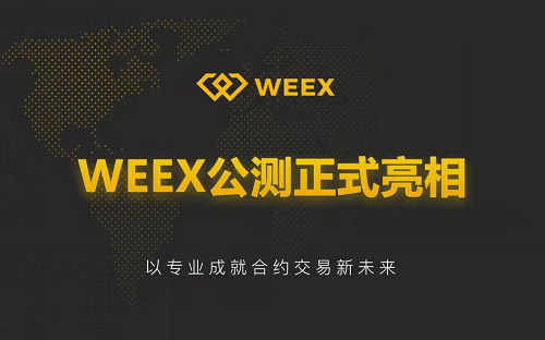 WEEX交易所官网版功能与平台优势解析