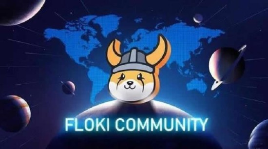 Floki币前景分析与挖矿操作指南