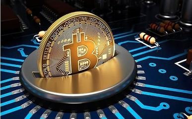 交易所新币价格波动分析