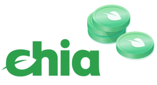 奇亚币2024年生态发展与价值趋势