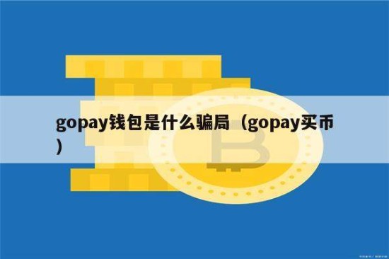 Gopay钱包风险解析与防范指南