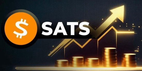 sats币 sats币值得投资吗 sats币未来上涨空间大吗