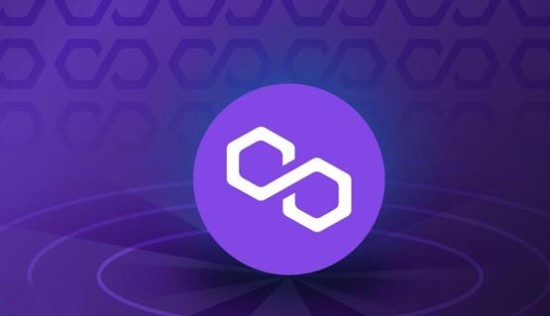 马蹄币2024年价格走势分析