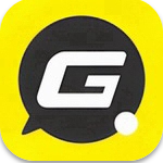 GoPay数字交易App免费下载与安全特性