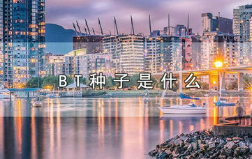 BT种子原理与文件传输机制解析