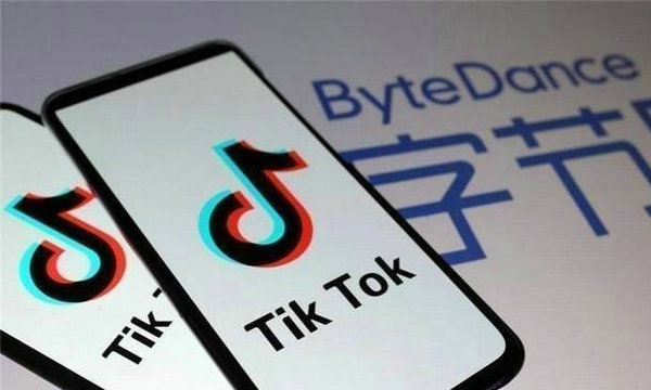 TikTok付费订阅模式解析与创作者收益影响