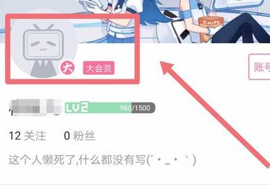 哔哩哔哩自动续费关闭步骤详解