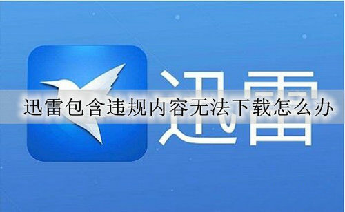 迅雷资源下载受阻问题处理方案