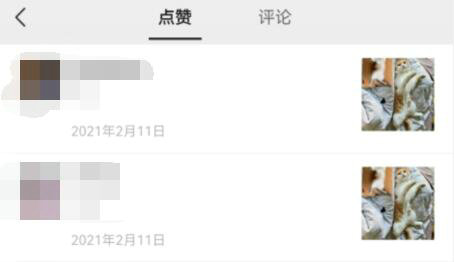 微信视频号访客查看权限解析