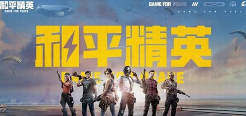 游戏兑换界面示意图