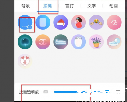 皮肤参数设置界面