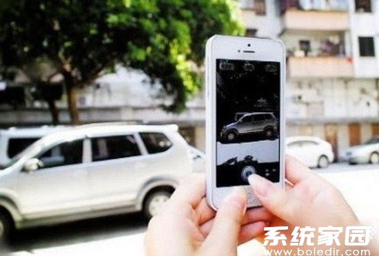 交通违法举报流程图