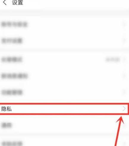 隐私设置入口示意图
