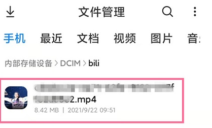 视频文件展示图