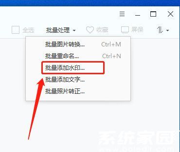 批量处理功能选择界面