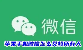 苹果微信如何艾特所有人 非群主操作指南