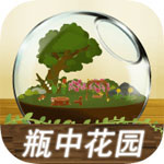 治愈系瓶中花园经营手记