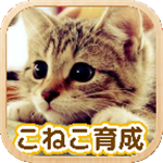 3D猫咪养成免费中文版下载v1.2.1 无限爱心版