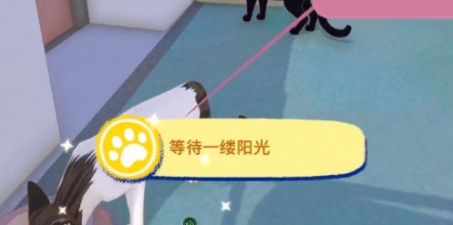 小猫咪大城市等待阳光成就攻略 铃铛任务流程详解