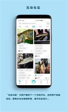 u770bu9c7cu6b63u5f0fu7248