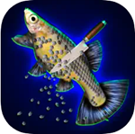 清鱼师傅切鱼游戏畅玩无广告版v1.4 免费版