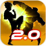 阴影格斗沉浸战斗版v2.0 内置菜单版