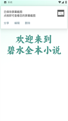 碧水小说界面展示