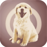人狗交流器与爱犬互动必备工具v2.0.7 最新版