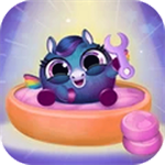 猫咪陪伴治愈时光