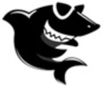 黑鲨装机大师免费下载