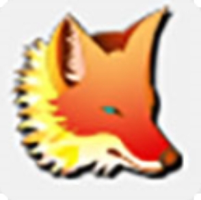 Foxtable电脑版高效数据处理办公工具