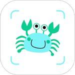 探秘水下世界必备工具