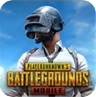 绝地求生国际服汉化版全资源解锁v3.1.0 全皮肤版