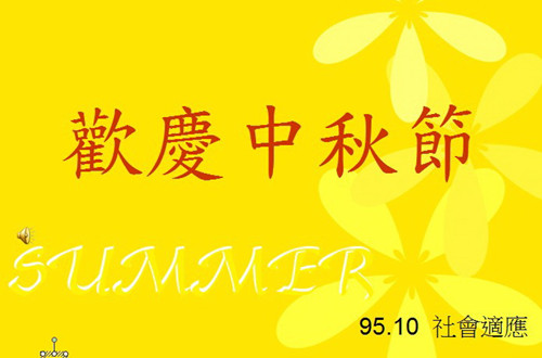 模板应用场景示例