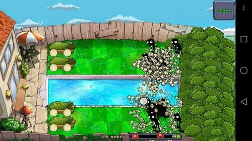 pvz