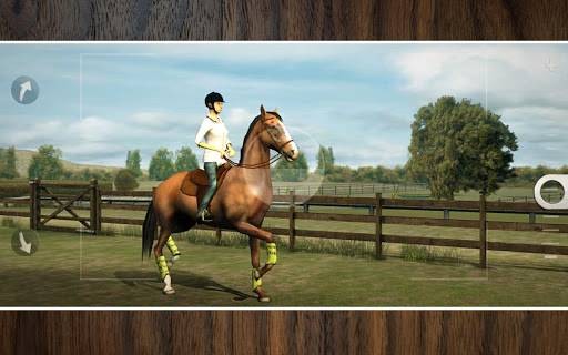 u6211u7684u9a6cu513f(My Horse)